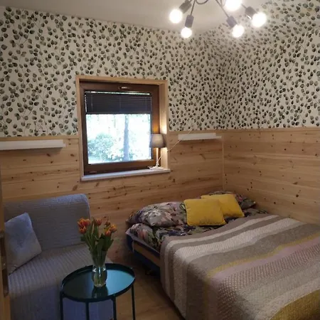 Przy Jeziorze Z Prywatna Plaza W Borach Tucholskich Alicja Wczasy Z Dziecmi Nowe Luksusowe Na Skraju Jeziora I Lasu Prázdninový dům *