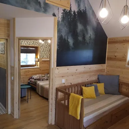 Przy Jeziorze Z Prywatna Plaza W Borach Tucholskich Alicja Wczasy Z Dziecmi Nowe Luksusowe Na Skraju Jeziora I Lasu *