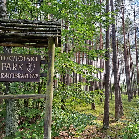 Przy Jeziorze Z Prywatna Plaza W Borach Tucholskich Alicja Wczasy Z Dziecmi Nowe Luksusowe Na Skraju Jeziora I Lasu Prázdninový dům Ostrowite (Chojnice)