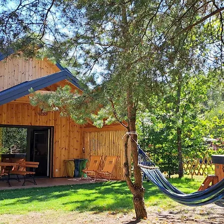 Prázdninový dům Przy Jeziorze Z Prywatna Plaza W Borach Tucholskich Alicja Wczasy Z Dziecmi Nowe Luksusowe Na Skraju Jeziora I Lasu *