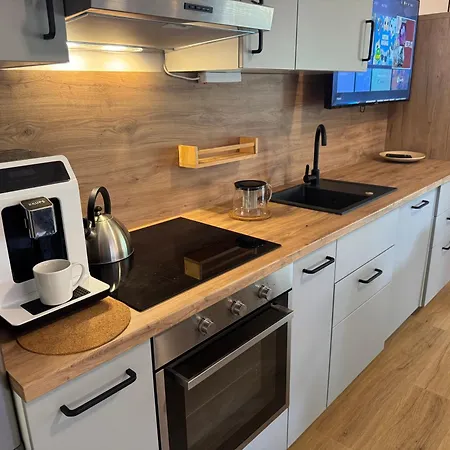 Przy Jeziorze Z Prywatna Plaza W Borach Tucholskich Alicja Wczasy Z Dziecmi Nowe Luksusowe Na Skraju Jeziora I Lasu