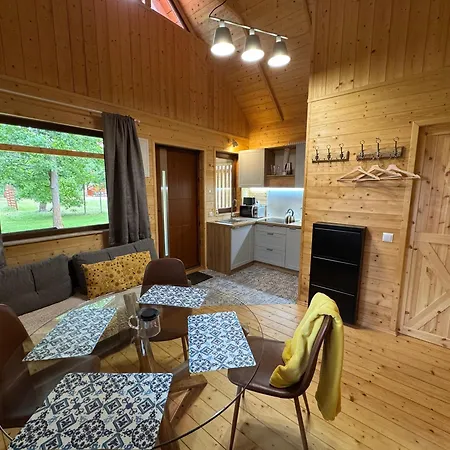 Przy Jeziorze Z Prywatna Plaza W Borach Tucholskich Alicja Wczasy Z Dziecmi Nowe Luksusowe Na Skraju Jeziora I Lasu * Ostrowite (Chojnice)