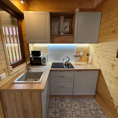 Przy Jeziorze Z Prywatna Plaza W Borach Tucholskich Alicja Wczasy Z Dziecmi Nowe Luksusowe Na Skraju Jeziora I Lasu