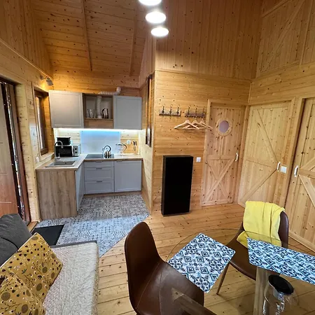 Przy Jeziorze Z Prywatna Plaza W Borach Tucholskich Alicja Wczasy Z Dziecmi Nowe Luksusowe Na Skraju Jeziora I Lasu *