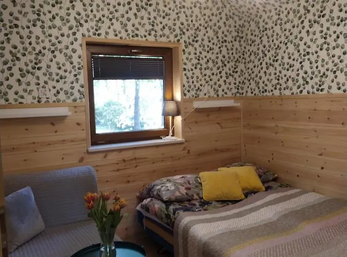 Przy Jeziorze Z Prywatna Plaza W Borach Tucholskich Alicja Wczasy Z Dziecmi Nowe Luksusowe Na Skraju Jeziora I Lasu Semesterbostad *