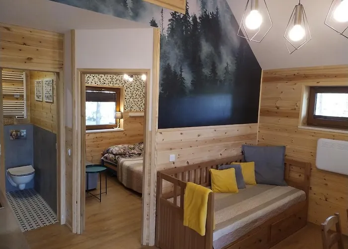 Przy Jeziorze Z Prywatna Plaza W Borach Tucholskich Alicja Wczasy Z Dziecmi Nowe Luksusowe Na Skraju Jeziora I Lasu *