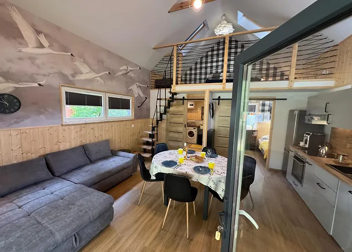 Przy Jeziorze Z Prywatna Plaza W Borach Tucholskich Alicja Wczasy Z Dziecmi Nowe Luksusowe Na Skraju Jeziora I Lasu * Ostrowite (Chojnice)