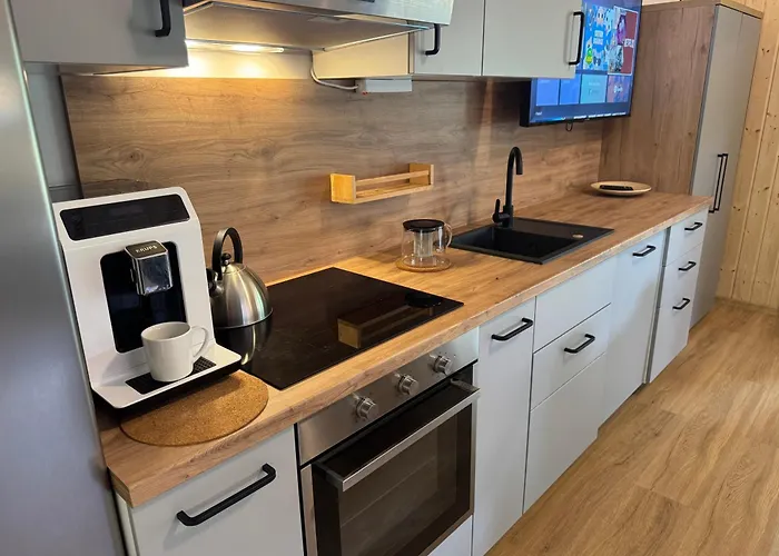 Przy Jeziorze Z Prywatna Plaza W Borach Tucholskich Alicja Wczasy Z Dziecmi Nowe Luksusowe Na Skraju Jeziora I Lasu