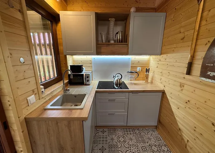 Przy Jeziorze Z Prywatna Plaza W Borach Tucholskich Alicja Wczasy Z Dziecmi Nowe Luksusowe Na Skraju Jeziora I Lasu