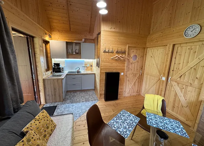 Przy Jeziorze Z Prywatna Plaza W Borach Tucholskich Alicja Wczasy Z Dziecmi Nowe Luksusowe Na Skraju Jeziora I Lasu *