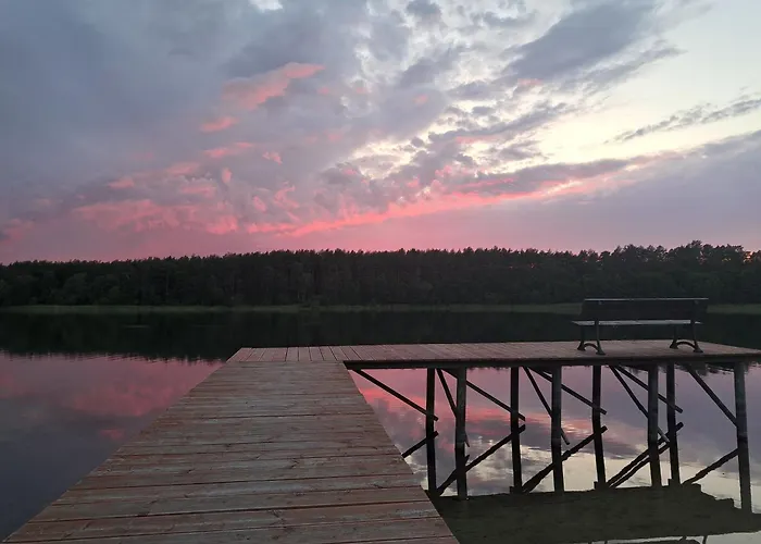 Przy Jeziorze Z Prywatna Plaza W Borach Tucholskich Alicja Wczasy Z Dziecmi Nowe Luksusowe Na Skraju Jeziora I Lasu